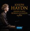 Small_455-glemser-haydn-d6f