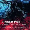 Small_among-whirlwinds-3fa