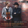 Small_bela-bartok-577