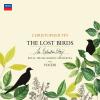 Small_christophertin_thelostbirds-13b