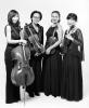 Small_string-quartett-27-blau-46d